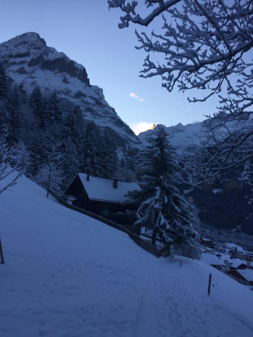 Chalet Gruenegg กรินเดลวัลด์ ภายนอก รูปภาพ